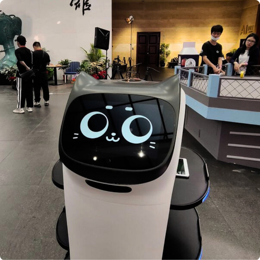 AI & Robotics
